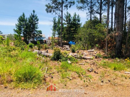 Terrenodormitório em Capão Novo | Ref.: 8281